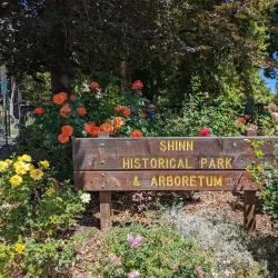 Shinn Historical Park and Arboretum - Fremont