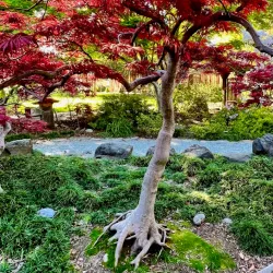 Shinn Historical Park and Arboretum - Fremont