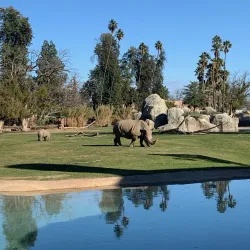 Fresno Chaffee Zoo - Fresno