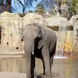 Fresno Chaffee Zoo - Fresno