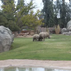 Fresno Chaffee Zoo - Fresno