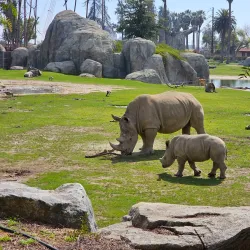 Fresno Chaffee Zoo - Fresno