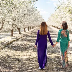 Fresno County Blossom Trail - Fresno