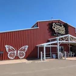 Fresno County Blossom Trail - Fresno