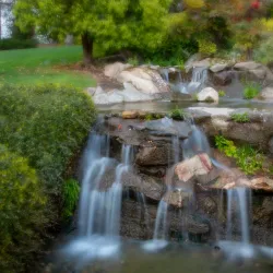 Shinzen Friendship Garden - Fresno