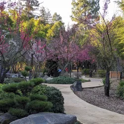 Shinzen Friendship Garden - Fresno