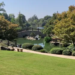 Shinzen Friendship Garden - Fresno