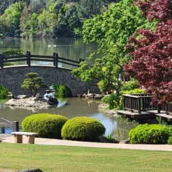 Shinzen Friendship Garden - Fresno