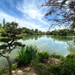 Shinzen Friendship Garden - Fresno