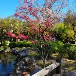 Shinzen Friendship Garden - Fresno