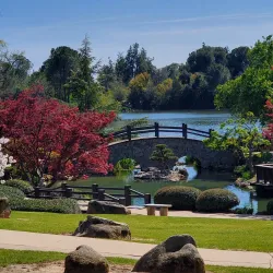 Shinzen Friendship Garden - Fresno