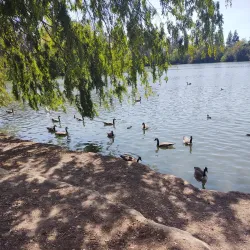 Woodward Park - Fresno