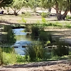 Woodward Park - Fresno