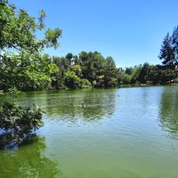 Woodward Park - Fresno