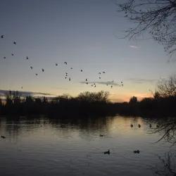 Woodward Park - Fresno