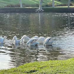 Craig Regional Park - Fullerton