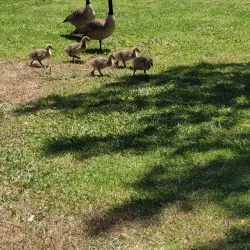 Craig Regional Park - Fullerton