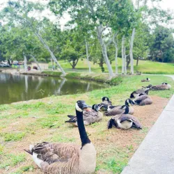 Craig Regional Park - Fullerton