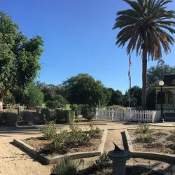 Fullerton Arboretum - Fullerton