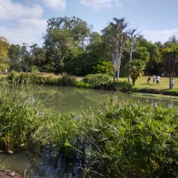 Fullerton Arboretum - Fullerton