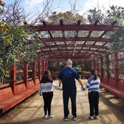 Fullerton Arboretum - Fullerton