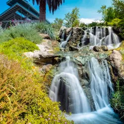 Fullerton Arboretum - Fullerton