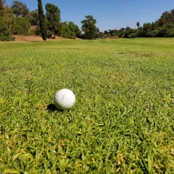 Fullerton Golf Course - Fullerton