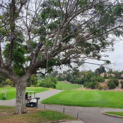 Fullerton Golf Course - Fullerton