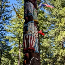 Confusion Hill - Garberville
