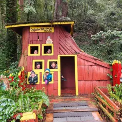 Confusion Hill - Garberville