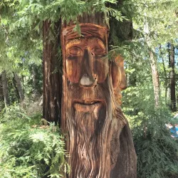 Confusion Hill - Garberville