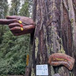 Confusion Hill - Garberville