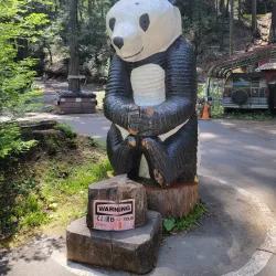 Confusion Hill - Garberville