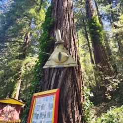 Confusion Hill - Garberville