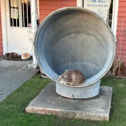 Humboldt Bay Maritime Museum - Garberville