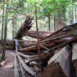 Humboldt Redwoods State Park - Garberville