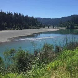 Humboldt Redwoods State Park - Garberville