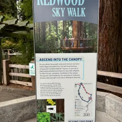 Redwood Sky Walk - Garberville