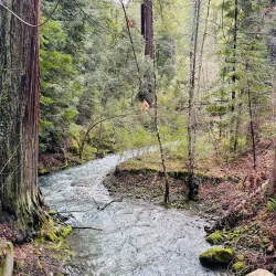 Richardson Grove State Park - Garberville