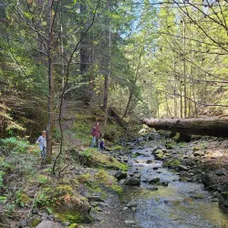 Richardson Grove State Park - Garberville