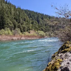 Richardson Grove State Park - Garberville