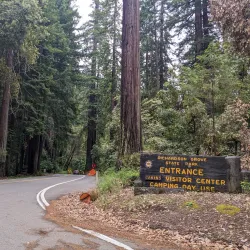 Richardson Grove State Park - Garberville