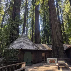 Richardson Grove State Park - Garberville