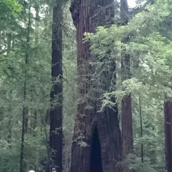 South Fork Eel River - Garberville