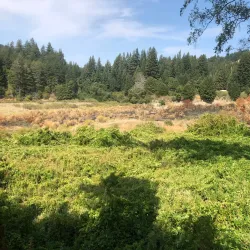 South Fork Eel River - Garberville