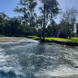 Christmas Hill Park - Gilroy