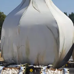 Christmas Hill Park - Gilroy