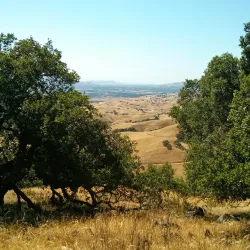 Coyote Lake Harvey Bear Ranch County Park - Gilroy