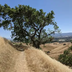 Coyote Lake Harvey Bear Ranch County Park - Gilroy