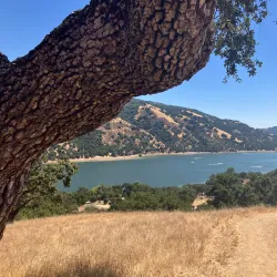 Coyote Lake Harvey Bear Ranch County Park - Gilroy